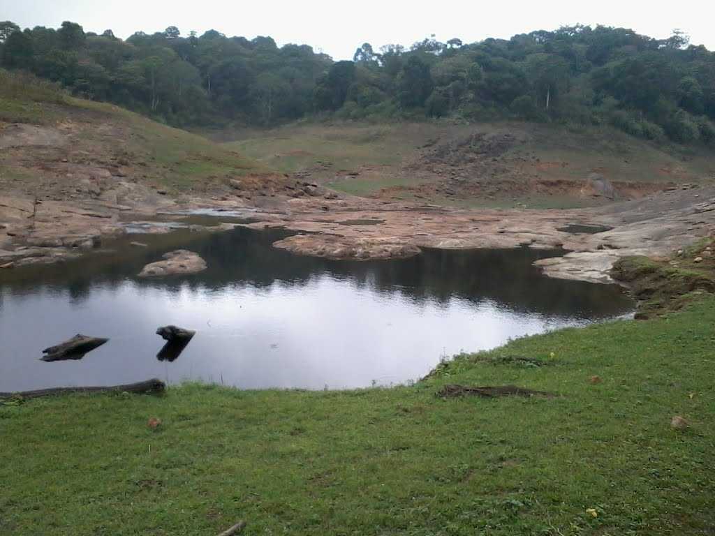 placeimg