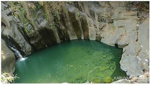placeimg