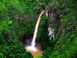 placeimg