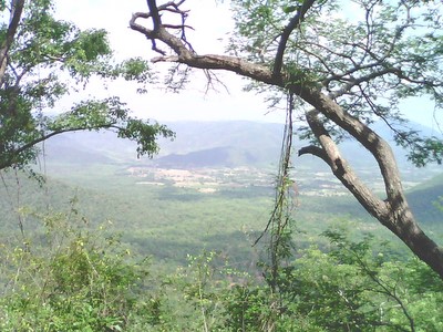 placeimg