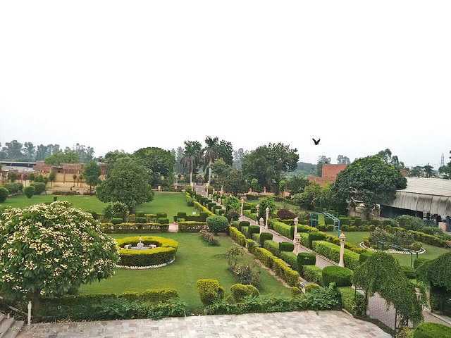 placeimg