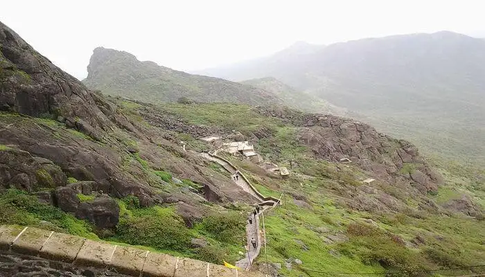 placeimg