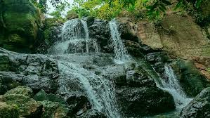 placeimg