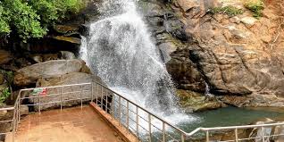 placeimg