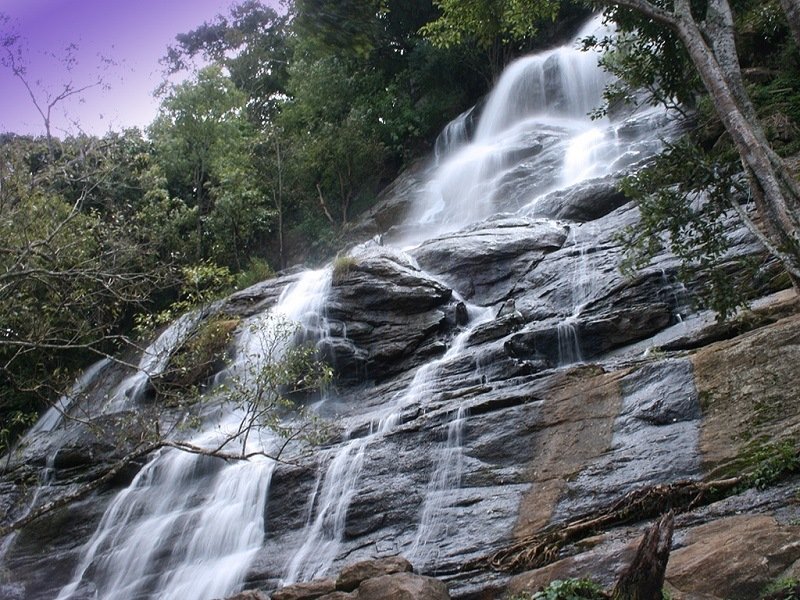 placeimg