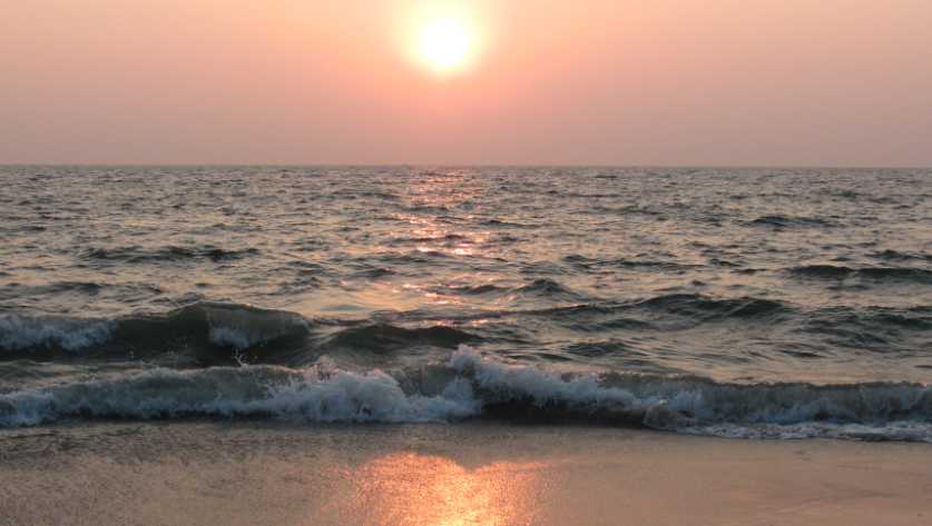placeimg