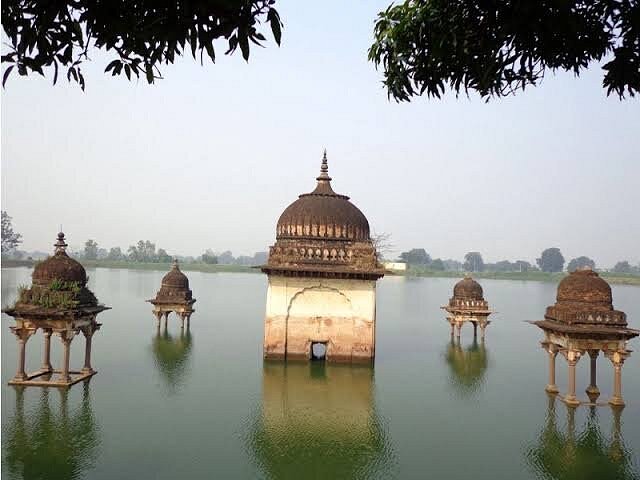placeimg