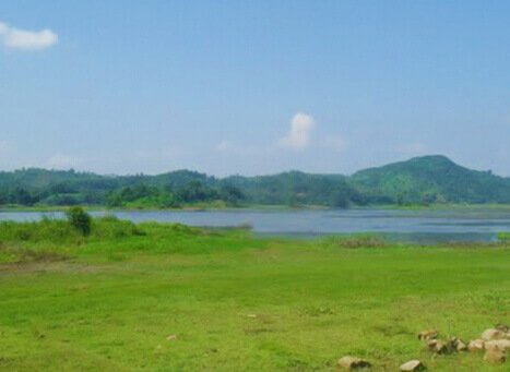 placeimg