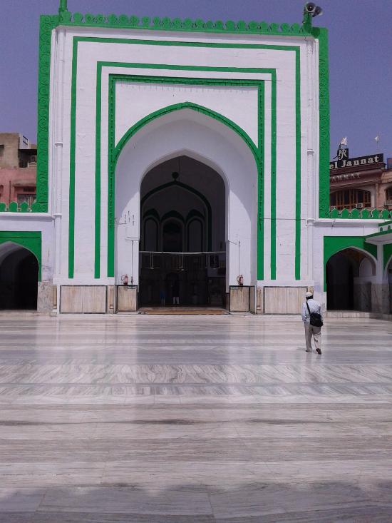 placeimg
