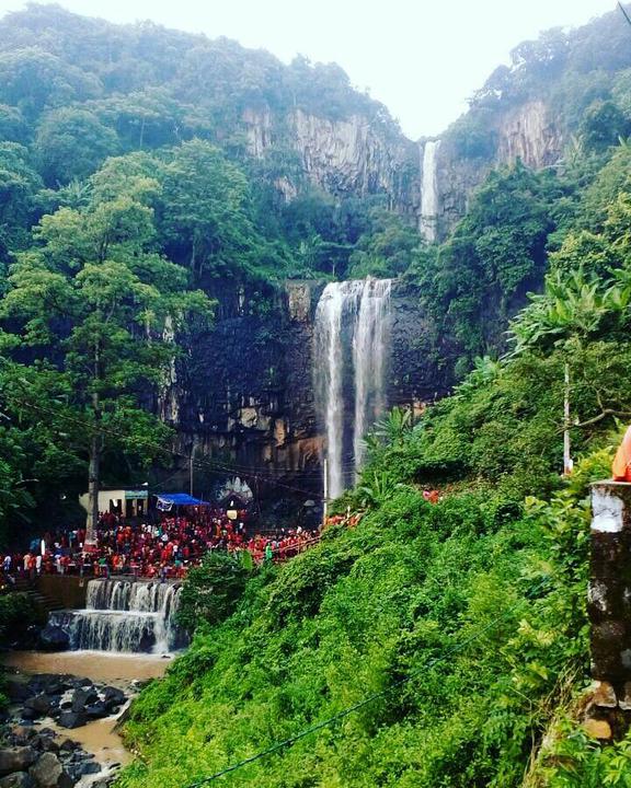 placeimg