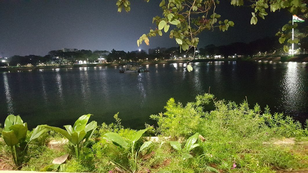 placeimg