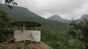 placeimg