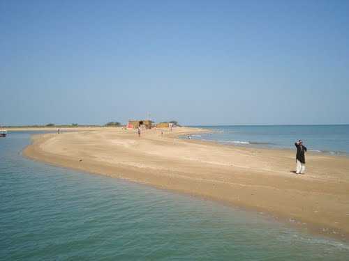 placeimg