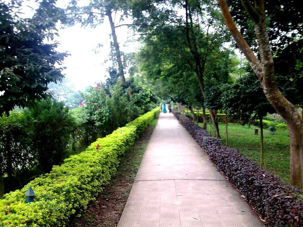 placeimg
