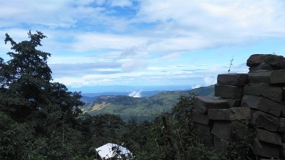 placeimg