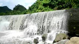 placeimg