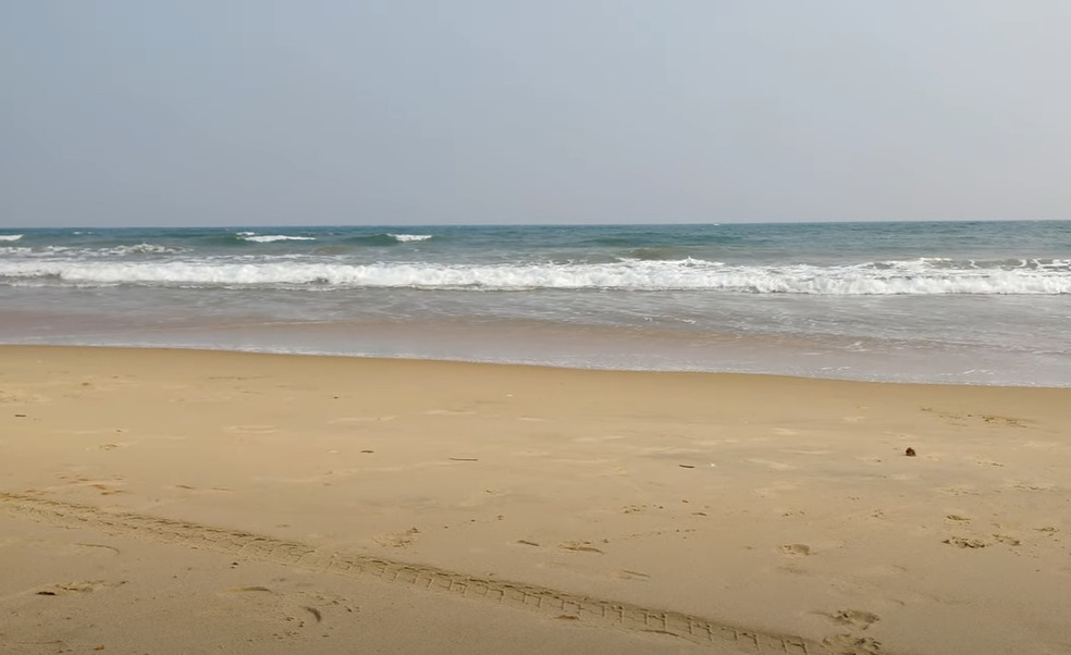 placeimg