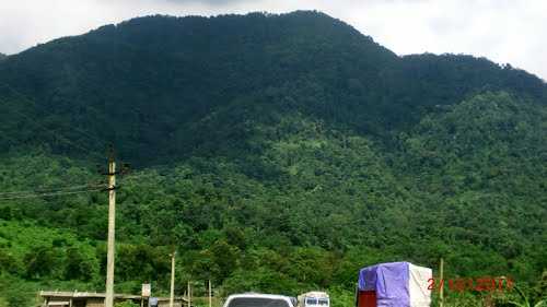 placeimg