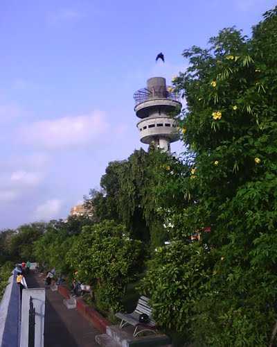 placeimg