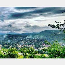 placeimg