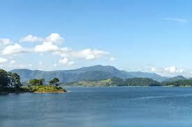 placeimg