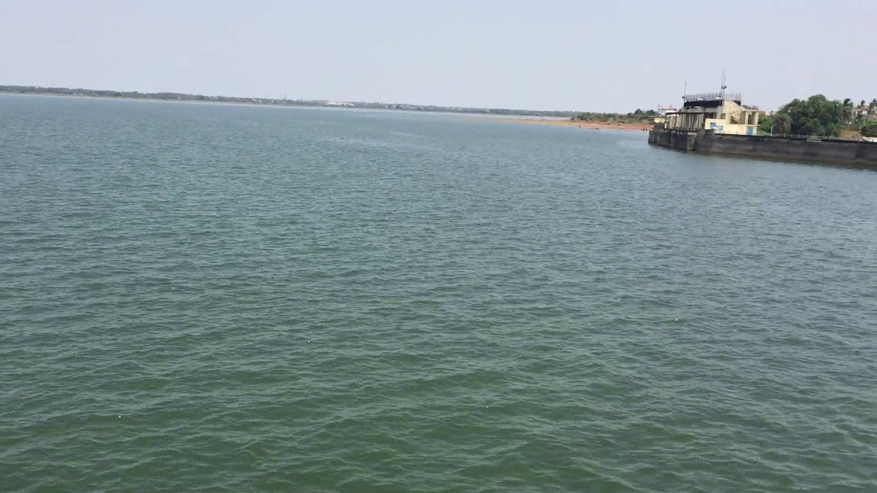 placeimg