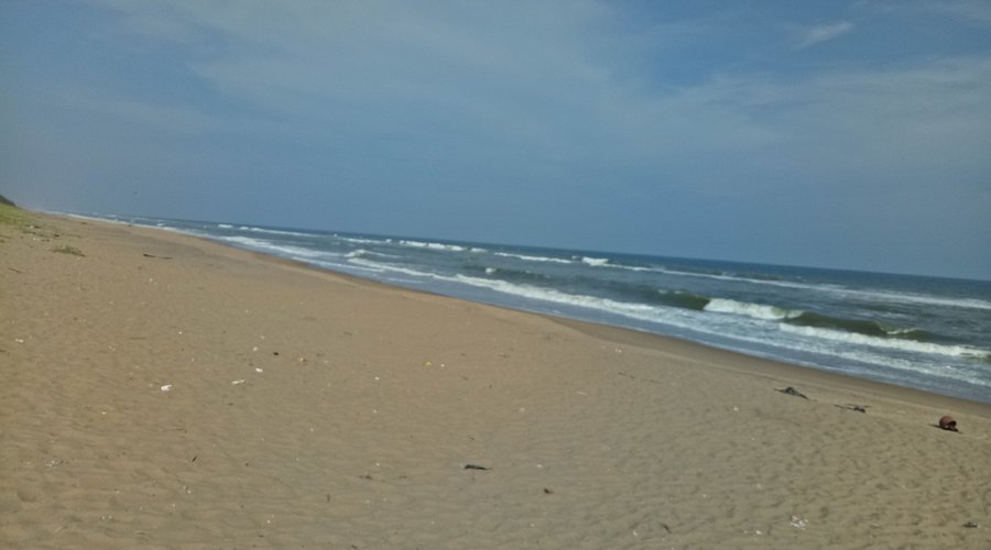 placeimg