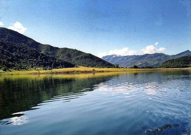 placeimg