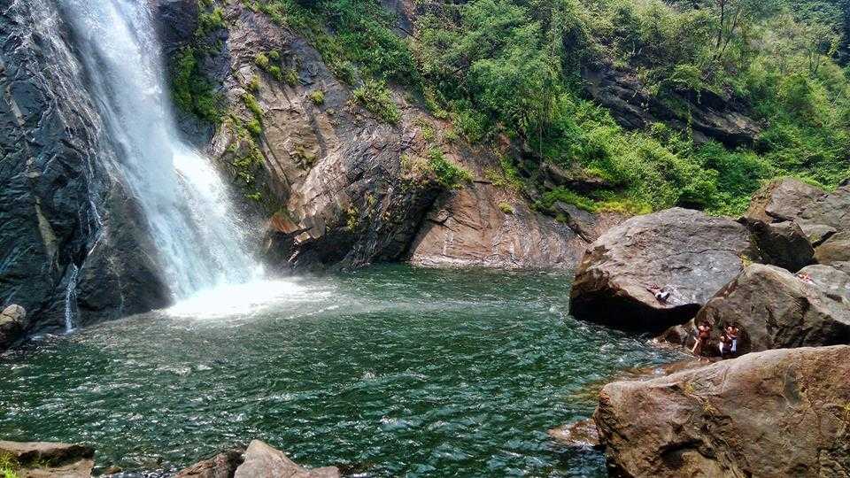 placeimg