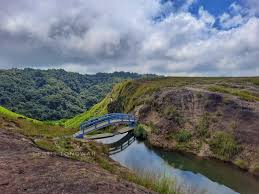 placeimg