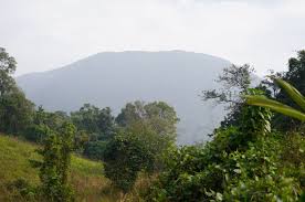 placeimg