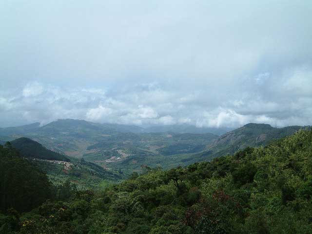 placeimg