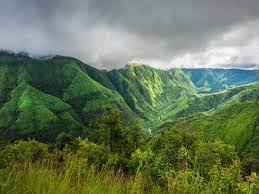 placeimg