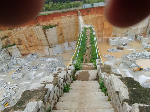 placeimg