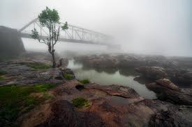 placeimg