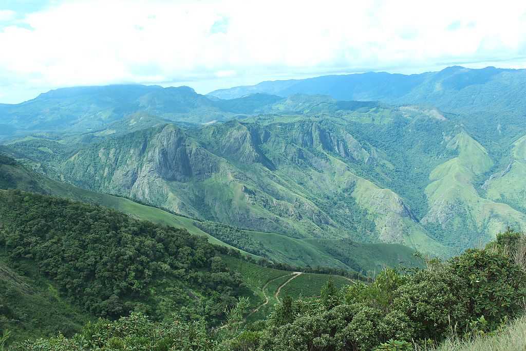 placeimg