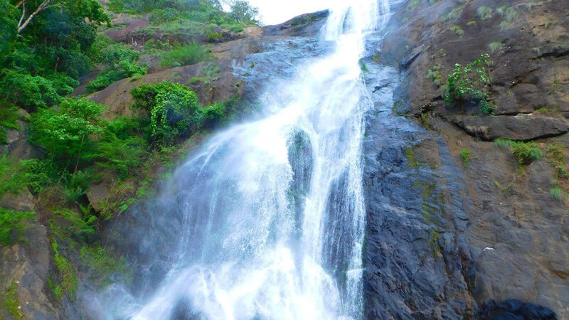 placeimg