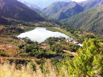 placeimg