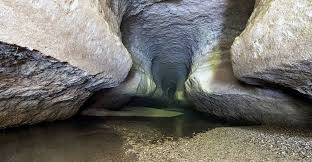 placeimg