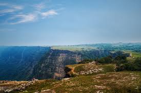 placeimg