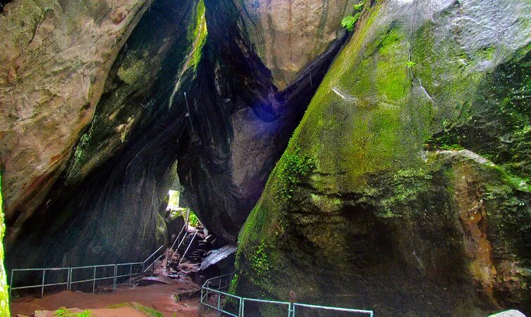 placeimg