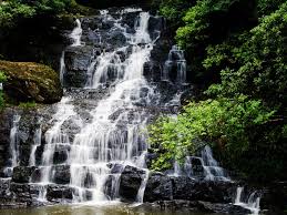 placeimg