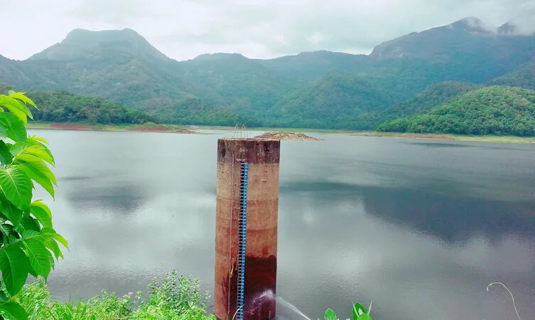 placeimg