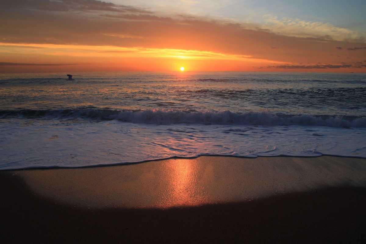 placeimg