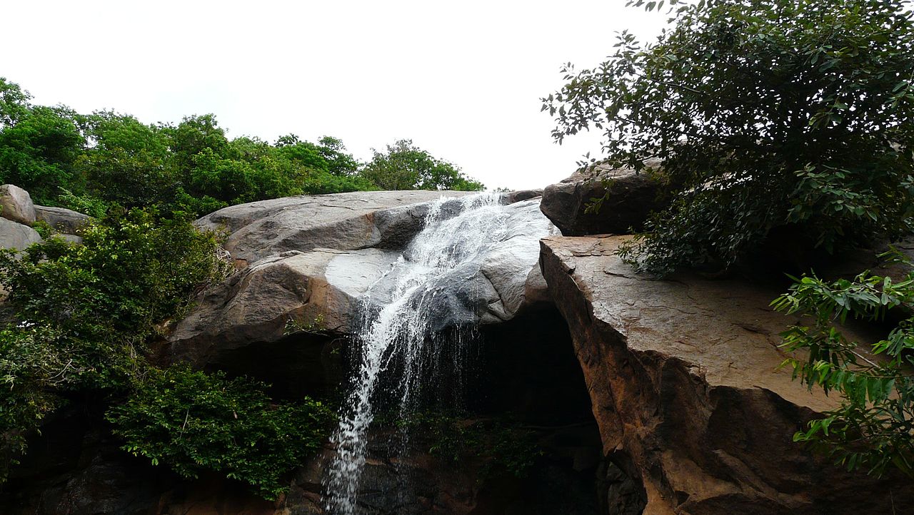 placeimg