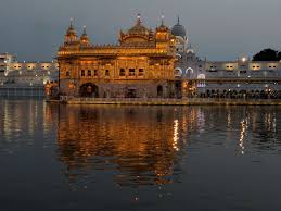 placeimg