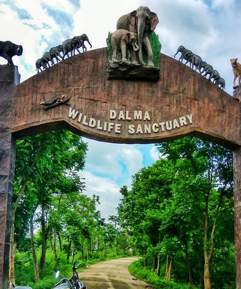 placeimg
