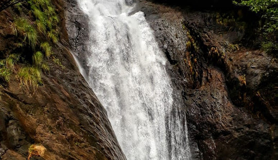 placeimg