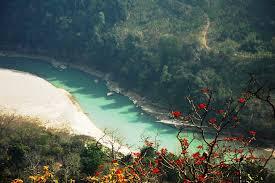 placeimg