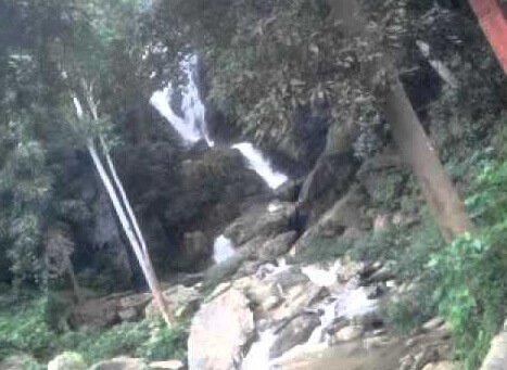 placeimg